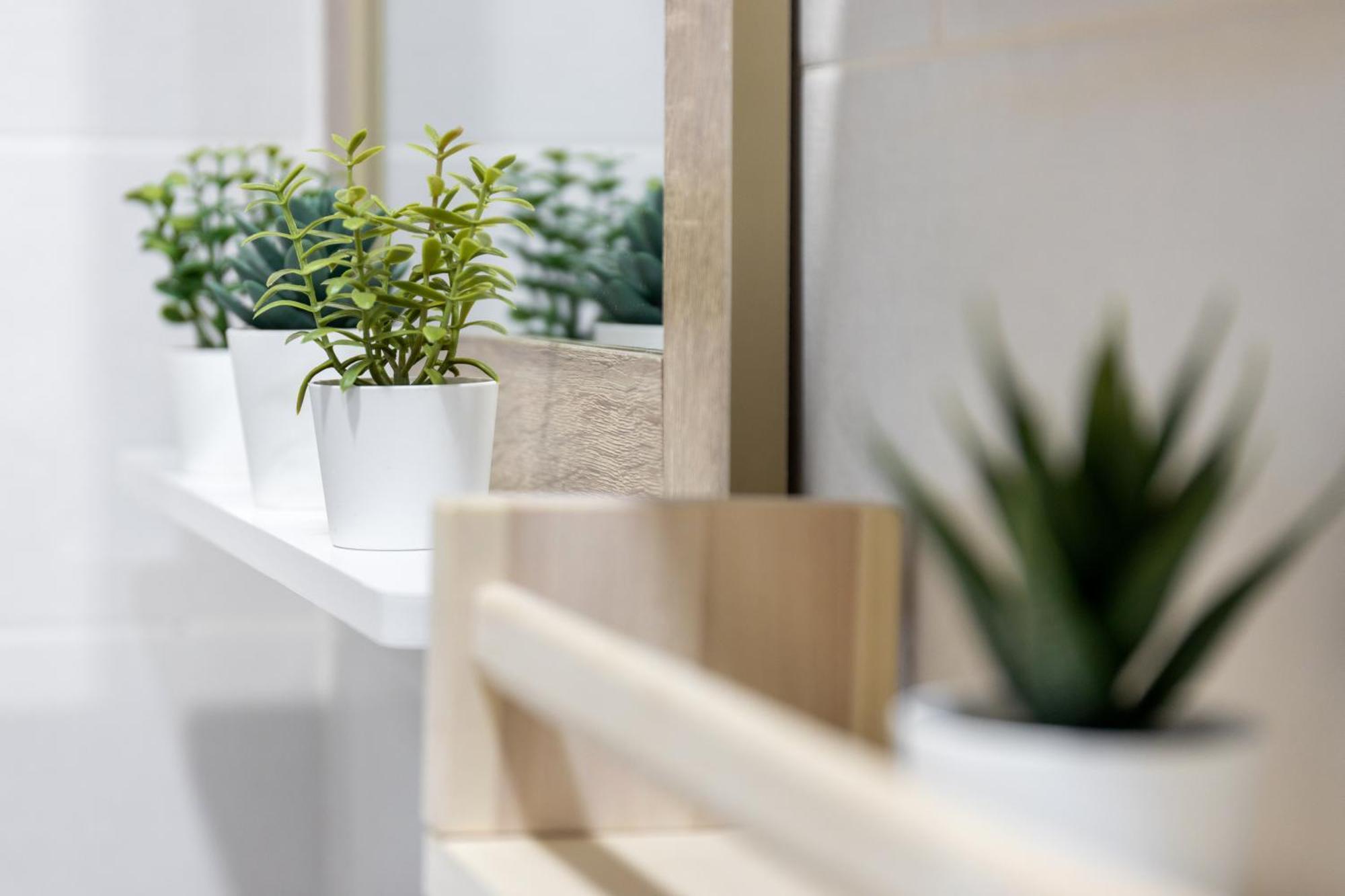 Apartament El Patio Del Arquitecto Grenada Zewnętrze zdjęcie